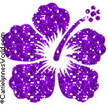 purpleflower.gif